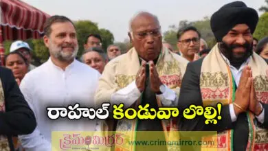 Row Erupts After Rahul Gandhi Refuses to Wear North Eastern Patka at At Home Reception