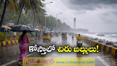 Weather Alert: Light to Moderate Rains Expected in Coastal Andhra Pradesh