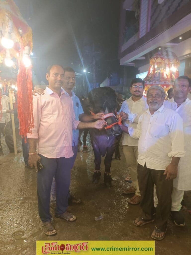 వివేకానంద నగర్ లో ఘనంగా సదర్ వేడుకలు