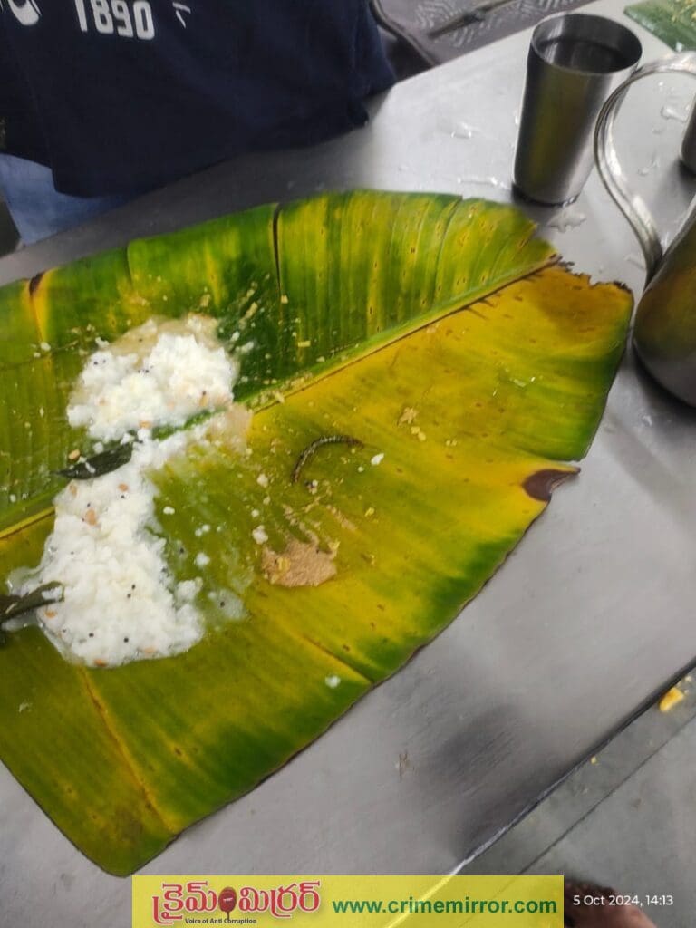 తిరుమల శ్రీవారి ప్రసాదంలో జెర్రీ.. టీటీడీ వివరణ
