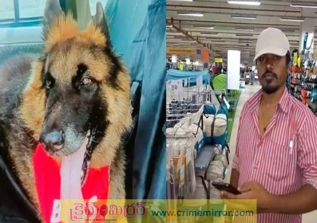పెంపుడు కుక్క మృతి!.. దాని చైన్ తో యజమాని ఆత్మహత్య?