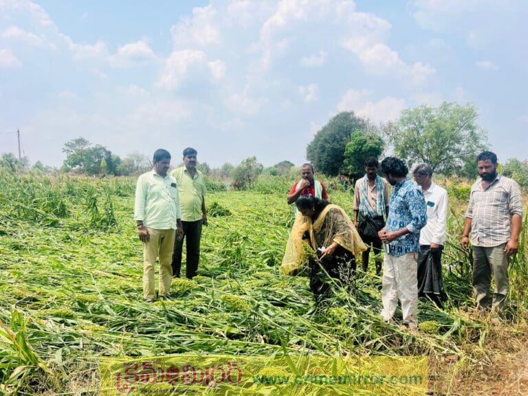 క్షేత్రస్థాయిలో దెబ్బతిన్న పంటలను పరిశీలించిన వ్యవసాయ అధికారులు…!
