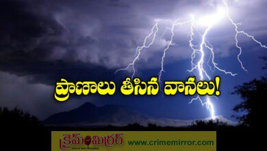 25 dead in lightning rain related incidents across India