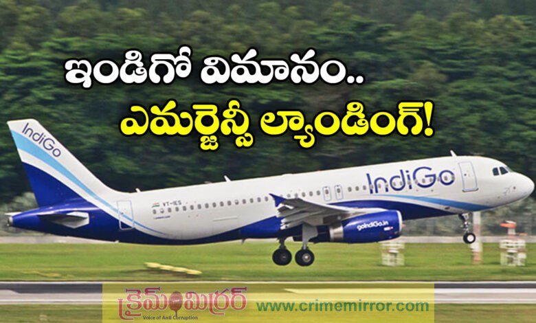IndiGo Flight Chennai to Madurai Turns Back Mid Air After Technical Glitch