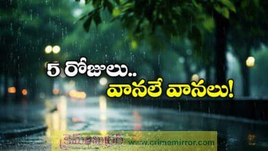 Rain Alert in Telangana IMD Issues Yellow Warning For Next 5 Days