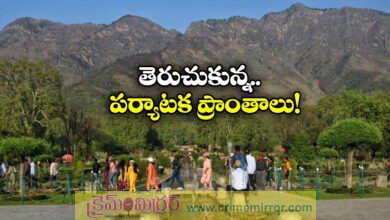 Pahalgam parks reopen for tourists and locals after 50 days