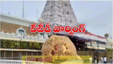 Tirumala Tirupati Devasthanam dismisses rumours about laddu prasadam