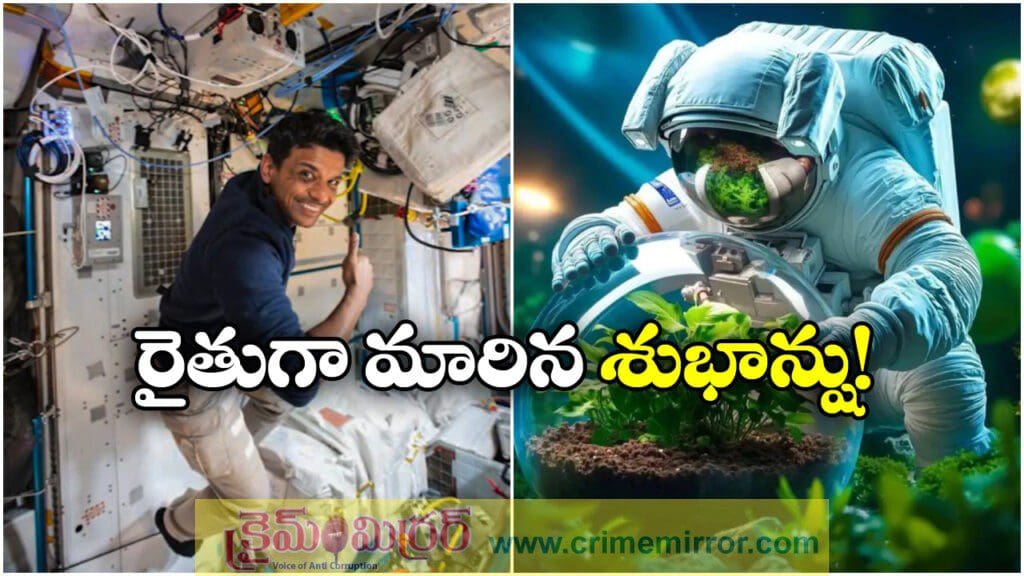 రైతుగా మారి.. అంతరిక్షంలో ఆకుకూరలు పెంచుతున్న శుభాన్షు!
