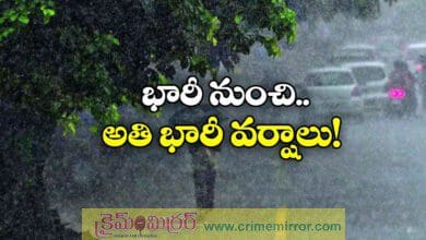 Heavy Rains In Andhra Pradesh Next Three Days