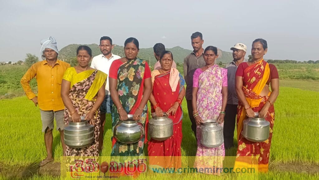 వరి నారు ఎండకుండా బిందెలతో నీళ్లు పోస్తున్న రైతులు