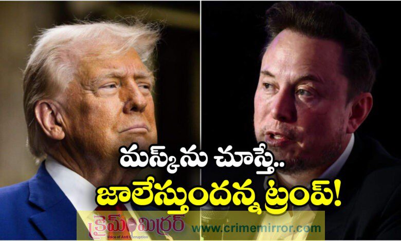 It's ridiculous Trump mocks Elon Musk's America Party