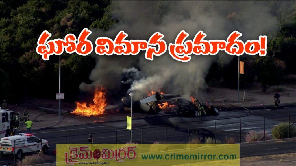 కుప్పకూలిన విమానం, నలుగురు సజీవ దహనం!