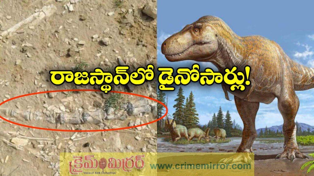 రాజస్థాన్‌ లో డైనోసార్‌ శిలాజం, ఎన్ని ఏండ్ల నాటిదంటే?