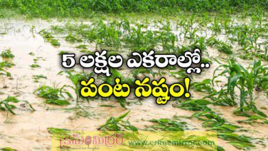 Heavy rain damages crop across telangana