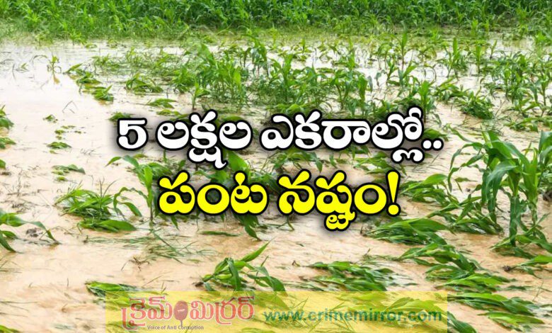 Heavy rain damages crop across telangana