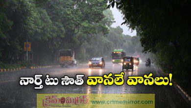 IMD issues widespread heavy rainfall alerts for these Indian states