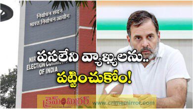 Ignore baseless allegations EC on Rahul Gandhi's vote theft remarks