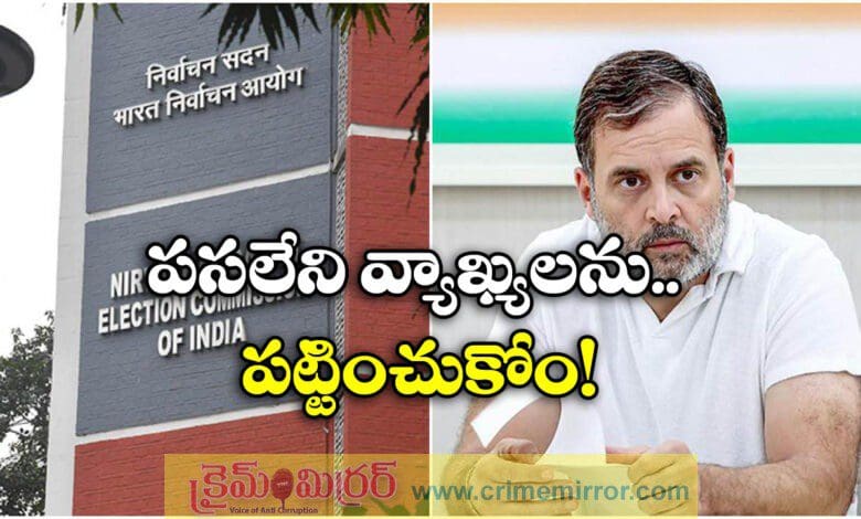 Ignore baseless allegations EC on Rahul Gandhi's vote theft remarks