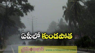 Low pressure area forms over Bay of Bengal; IMD issues heavy rainfall alert for ap