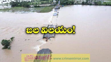 North Telangana trembled due to rain disaster