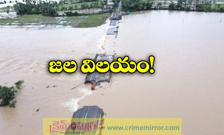 North Telangana trembled due to rain disaster