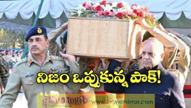 Pakistan Admits Loss Of 13 Military Personnel During India's Op Sindoor