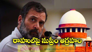 True Indian wouldn't...: Top court raps Rahul Gandhi over China claim, halts case