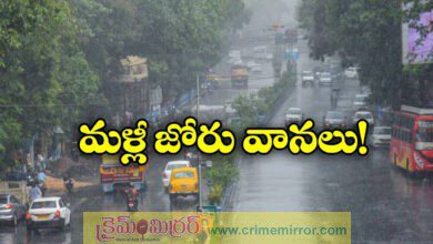 imd forecasts to moderate heavy rains across india till august 9