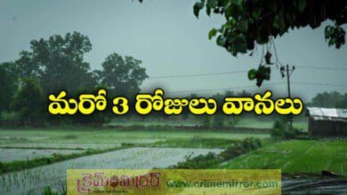 rains in telangana for next 3 days