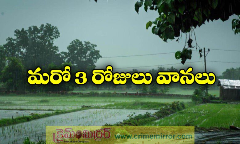 rains in telangana for next 3 days