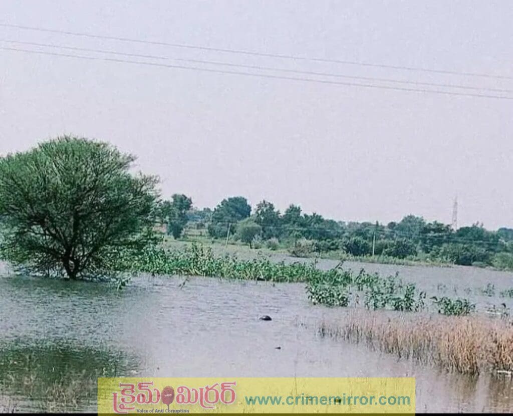 మద్దూర్ సంఘం చెరువులో గుర్తుతెలియని వ్యక్తి మృతి