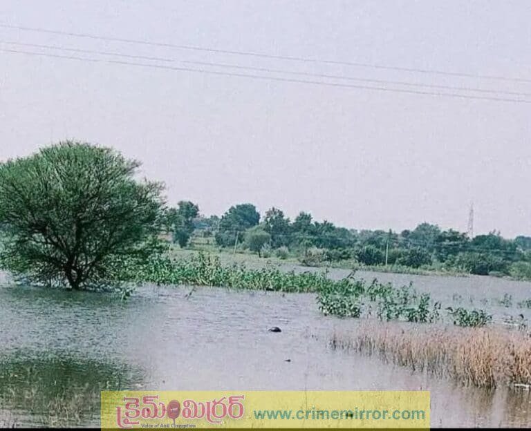 మద్దూర్ సంఘం చెరువులో గుర్తుతెలియని వ్యక్తి మృతి