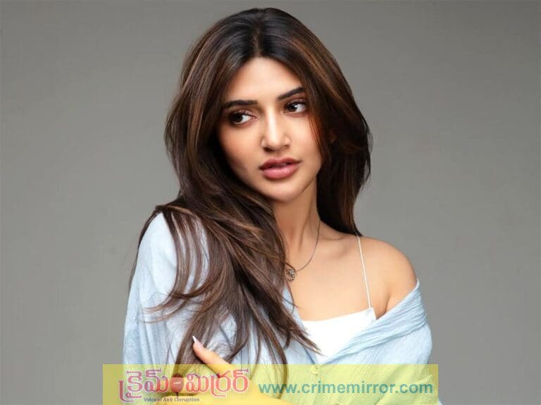 సోషల్ మీడియా ట్రోల్ల్స్ పై దిమ్మ తిరిగే కౌంటర్ ఇచ్చిన శ్రీ లీల