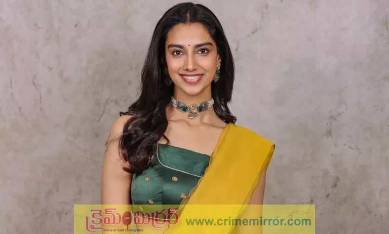 సీనియర్ హీరోలతో నటించడానికి నాకు ఇబ్బంది లేదు.. కానీ ఆ పాత్రలు ఇక చేయను : మీనాక్షి చౌదరి