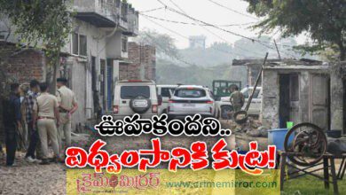 8 Bombers 4 Locations Faridabad Terror Module Hatched Sinister Plan