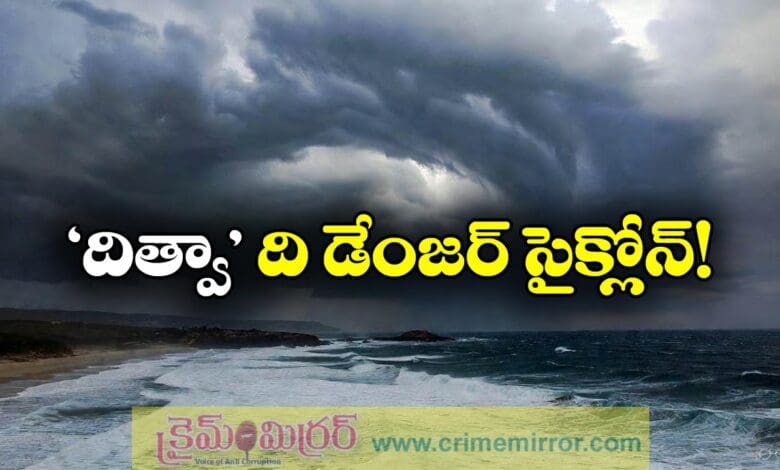 Cyclone Ditwah Update: Ditwah Cyclone Effect On Andhra Pradesh