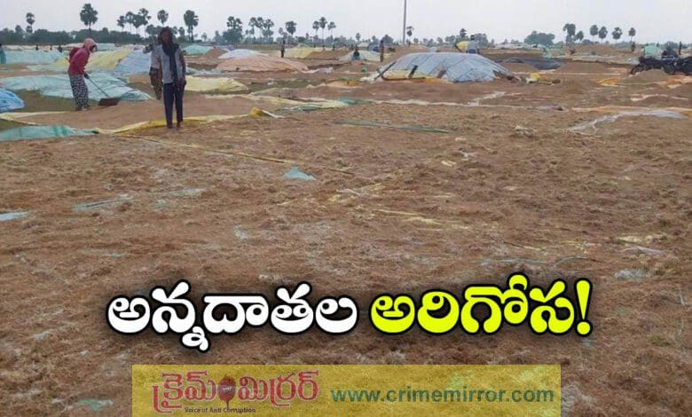 Farmers in Telangana are suffering from rain procurement delays caused by rains