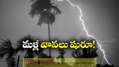 Thunderstorms Forecast Over South Coastal AP, Rayalaseema