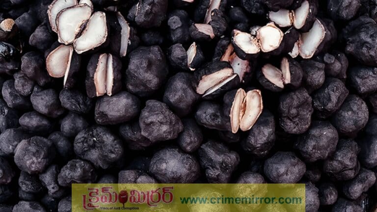 Health Tips: ఇవి చూడటానికి బొగ్గులా నల్లగా కనిపించినా.. ఆరోగ్యానికి మాత్రం ఔషధమే