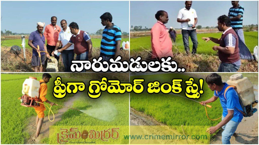 Gromor Awareness: నారుమడులకు ఉచితంగా జింక్ స్ప్రే కావాలా? జస్ట్.. గ్రోమోర్ కు కాల్ చేయండి!