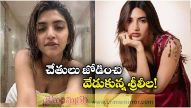 Deeply Disturbing And Devastating Sreeleela On AI Deepfakes