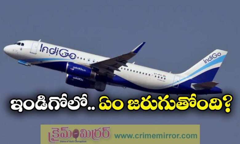 IndiGo Crisis: Why the airline was hit hardest