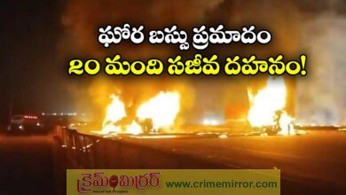 More than 20 people burnt alive when truck hit private travel bus