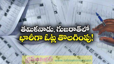 SIR 2.0: 97.3 lakh deleted from Tamil Nadu draft rolls, 73.7 lakh in Gujarat