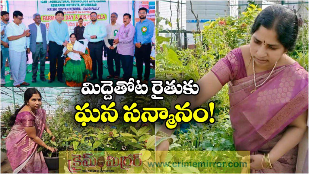 Terrace Garden Farmer: టెర్రస్ గార్టెన్ పంటల సాగుకు ఫిదా, మమతను సత్కరించిన కలెక్టర్ తేజస్ నందలాల్!