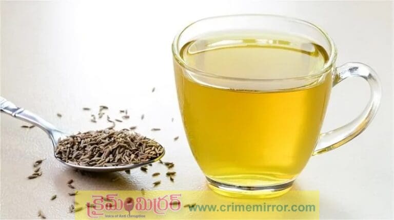 Health: శీతాకాలం మీ శరీరం వెచ్చగా ఉండాలంటే..