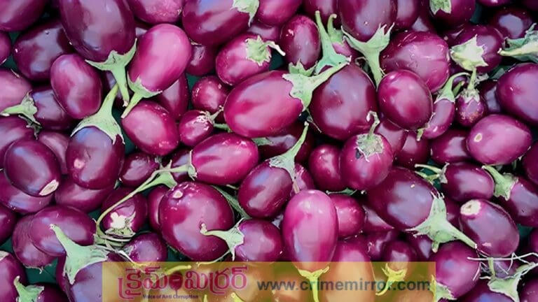 Health: ‘శనివారమే కాదు.. ఈ సమస్యలు ఉన్నవారు ఏ రోజు కూడా వంకాయ తినొద్దు’