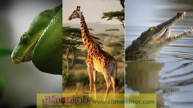 Wildlife Facts: కళ్లు తెరిచి నిద్రించే జంతువులు ఏవో మీకు తెలుసా?