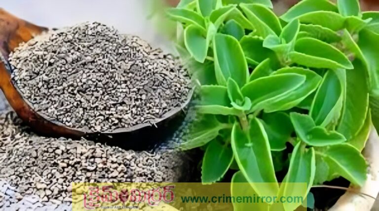 Health Tips: మలబద్ధకం ఎక్కువగా ఉందా..? అయితే ఇలా చేయండి..