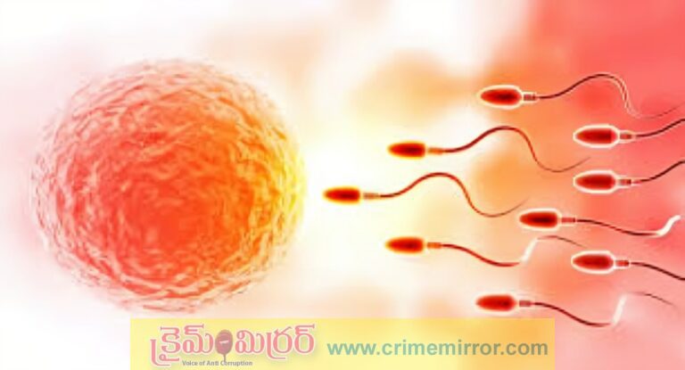 Sperm Count: మగవారిలో వీర్యకణాల సంఖ్య పెరగడానికి ఏం చేయాలి?
